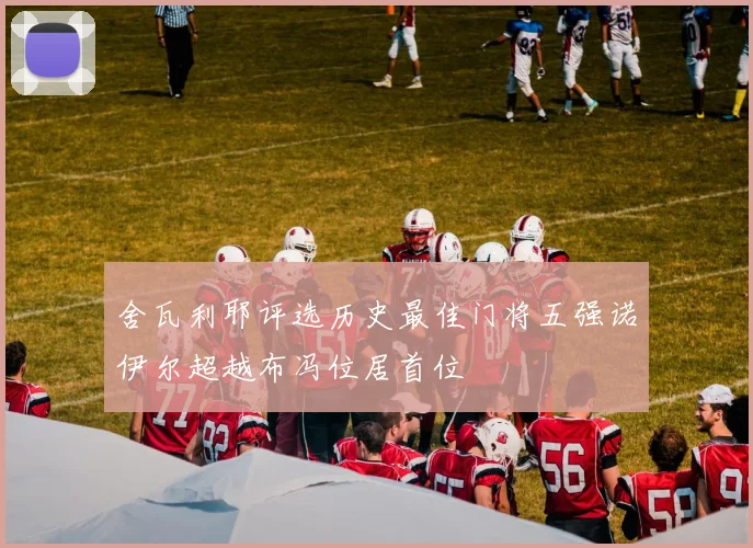 舍瓦利耶评选历史最佳门将五强诺伊尔超越布冯位居首位