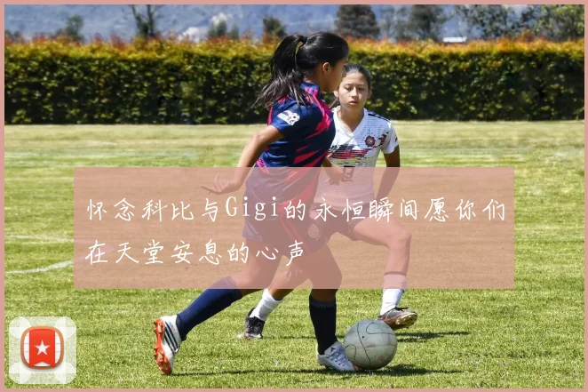 怀念科比与Gigi的永恒瞬间愿你们在天堂安息的心声