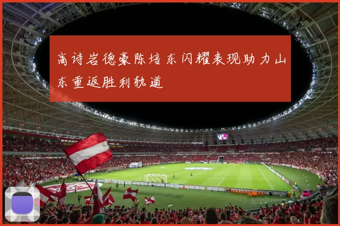 高诗岩德豪陈培东闪耀表现助力山东重返胜利轨道