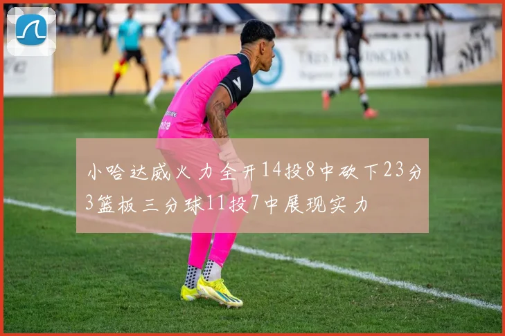 小哈达威火力全开14投8中砍下23分3篮板三分球11投7中展现实力